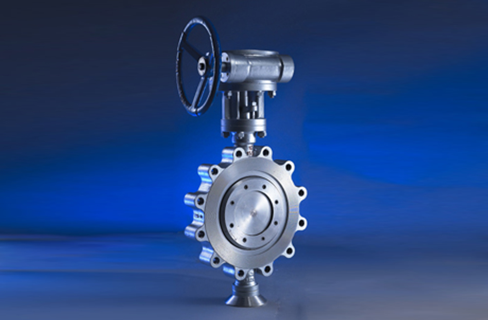 Lug butterfly valve effect