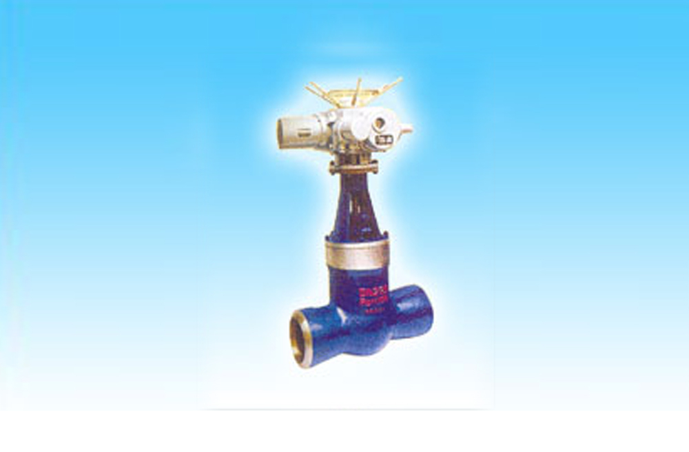 Gate valve z960y-225v